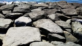 海岸の岩